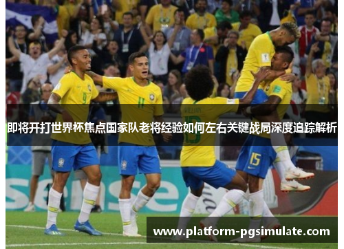 即将开打世界杯焦点国家队老将经验如何左右关键战局深度追踪解析